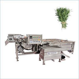 rosemary washing machine