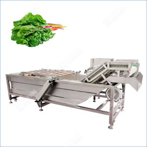 swiss chard washing machine