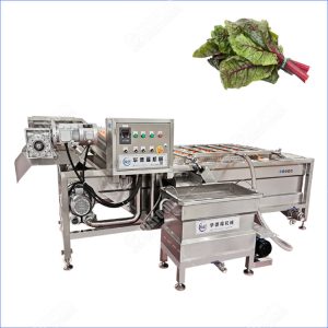 swiss chard bubble washing machine