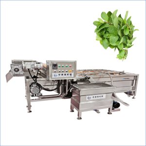 mint washing machine