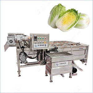 napa cabbage washing machine
