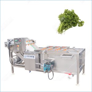 parsely washing machine