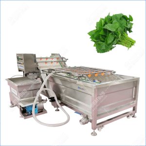 Sweet potato leaves washing machine